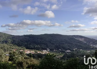 Terreno  em Monchique