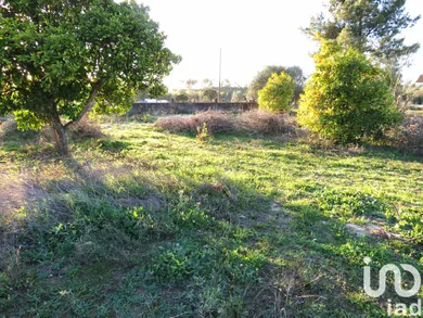 Terrain  à Asseiceira