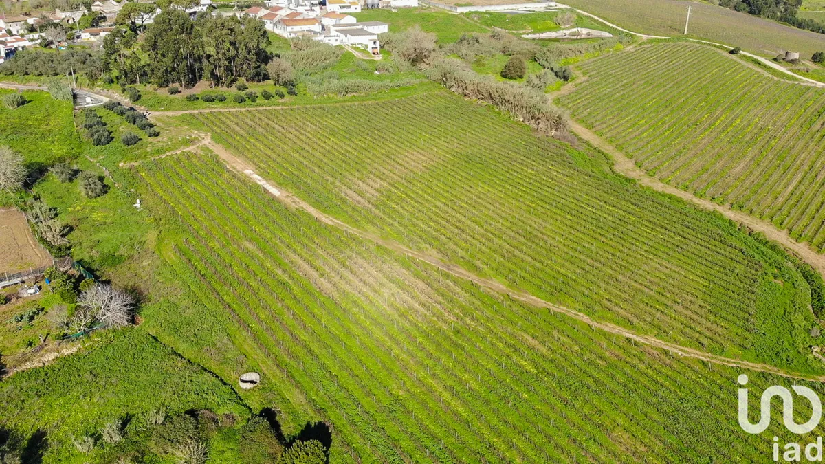 Terreno rústico de 81 070 m² em Carvoeira e Carmões