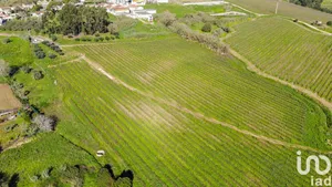Farm land  at Carvoeira e Carmões