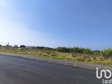 Terrain  à Cadaval e Pêro Moniz