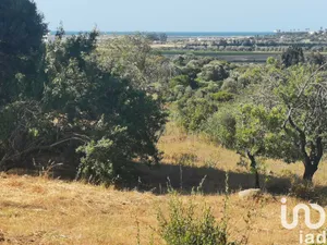 Terreno  em Mexilhoeira Grande