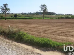 Terreno urbano em Aveleda