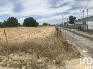 Building plot at Salvaterra de Magos e Foros de Salvaterra