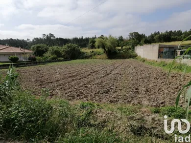 Terrain  à Alqueidão