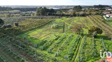 Terreno urbano  em Sangalhos