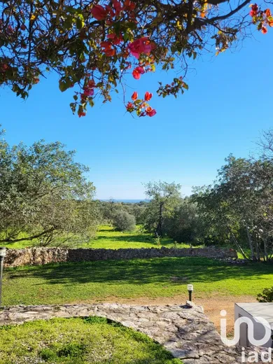 Casa de campo  em Tavira (Santa Maria e Santiago)
