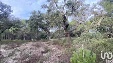 Terrain  à Galveias