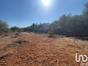 Farm land  at Silves