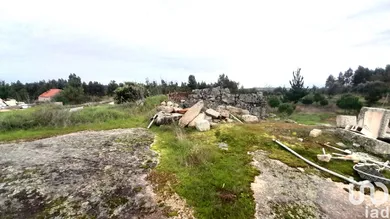 Terrain  à Seixo da Beira
