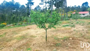Land  at São Lourenço de Ribapinhão