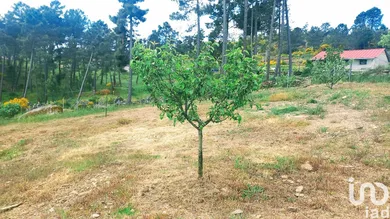 Land at São Lourenço de Ribapinhão