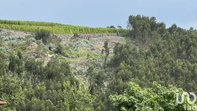 Farm land  in Banho e Carvalhosa