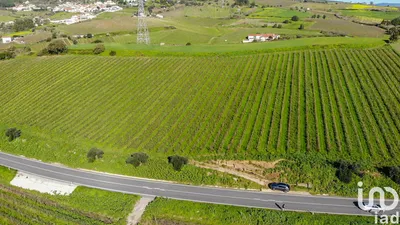 Fotografia 9 de Terreno rústico de 30 560 m² em Sobral de Monte Agraço