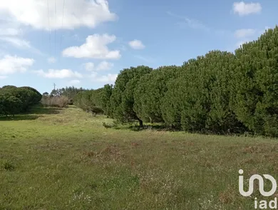Land in Batalha