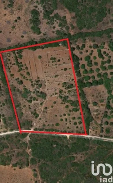 Terreno  em Mexilhoeira Grande