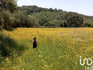 Farm land at Igreja Nova e Cheleiros