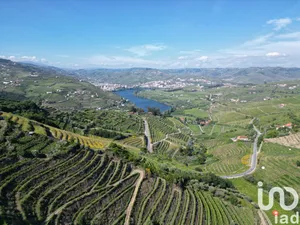 Farm land  at Samodães