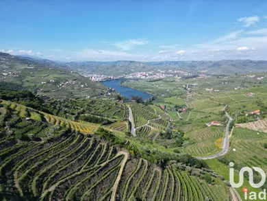 Farm land at Samodães