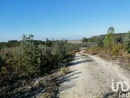 Terreno em Monte Real e Carvide