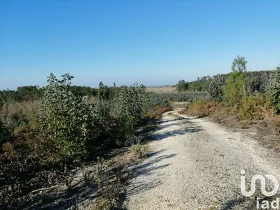 Fotografia 3 de Terreno de 140 000 m² em Monte Real e Carvide