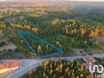Fotografia 7 de Terreno urbano de 2222 m² em Pedrógão Grande
