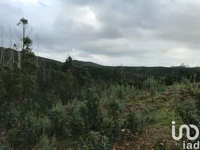 Terrain  à Alferce
