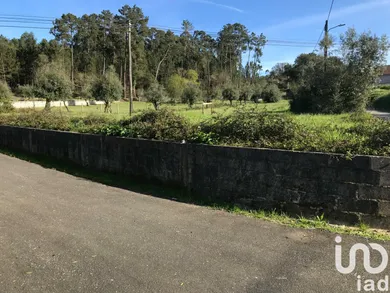 Terrain  à Ansião