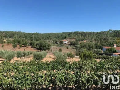 Ferme  à Cumeada e Marmeleiro
