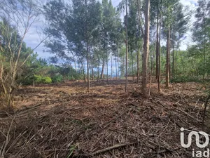 Terrain à batir à Nogueira, Meixedo e Vilar de Murteda