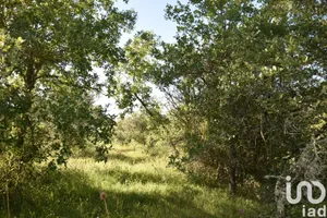 Terreno em Areias e Pias