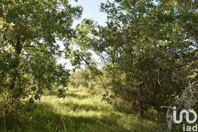 Terreno em Areias e Pias