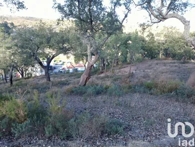 Terreno rústico  em Galveias