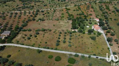 Fotografia 2 de Terreno de 9990 m² em Loulé (São Sebastião)