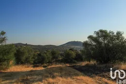 Farm in Assunção, Ajuda, Salvador e Santo Ildefonso