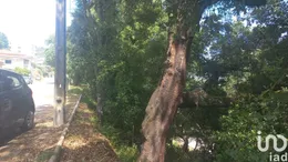 Land in Frende
