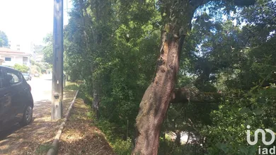 Terrain  à Frende