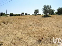 Terreno em Madalena e Beselga