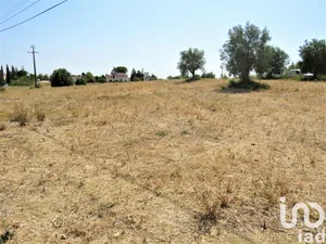 Terreno em Madalena e Beselga