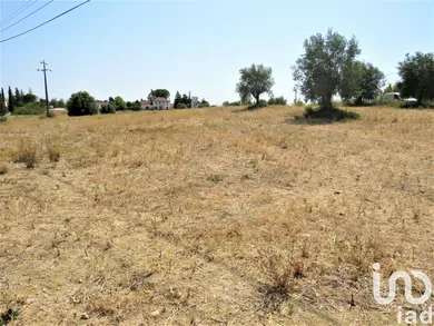 Terreno  em Madalena e Beselga