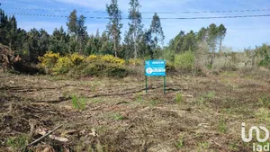 Terreno urbano em Guia, Ilha e Mata Mourisca