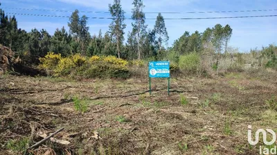 Fotografia 1 de Terreno urbano de 5930 m² em Guia, Ilha e Mata Mourisca