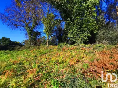 Land  at Santa Marta de Portuzelo