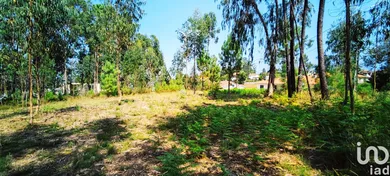 Land  in Campos e Vila Meã