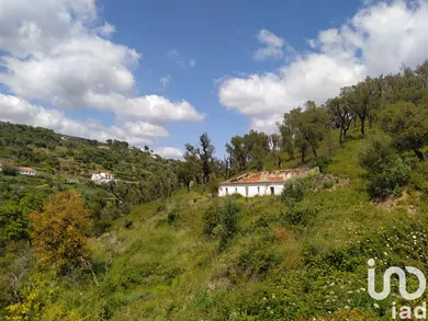 Building plot at Monchique