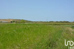 Terreno rústico  em Ventosa