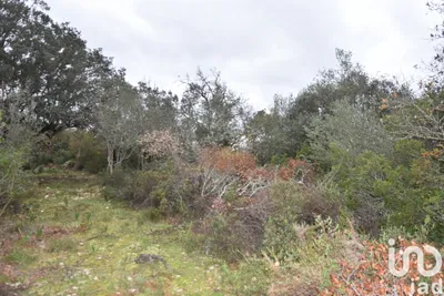 Fotografia 3 de Terreno de 8880 m² em Chãos