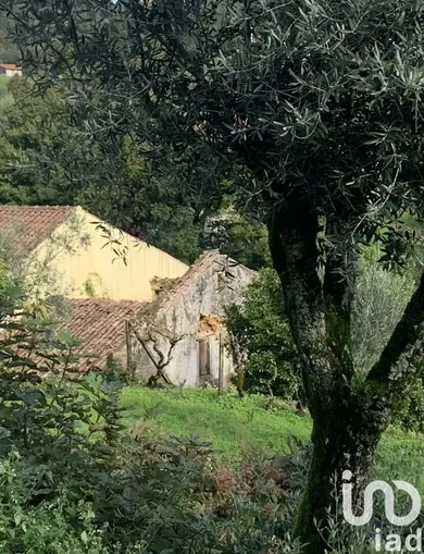 Gîte  à Figueiró dos Vinhos e Bairradas