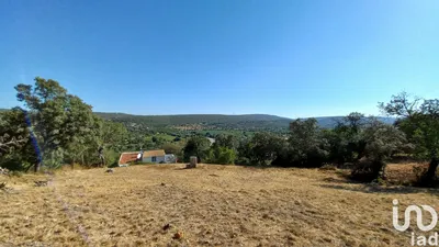 Fotografia 4 de Terreno de 5560 m² em Querença, Tôr e Benafim