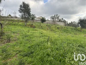 Building plot  at Recardães e Espinhel